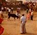 Fiestas de San Roque. Año 1981.