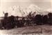 Los Picos de Europa desde el valle de Valdeón. 1958