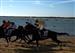 Carreras de caballos en la playa