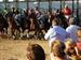 Carreras de Caballos en la playa de Sanlucar.