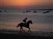 Carreras de caballos en la playa. Rodrigo.