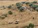 TOROS POR EL CAMPO, AGOSTO 2007