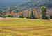 Otoño en las campos de Gastiaín.