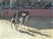 Plaza de toros