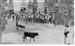 toros en la plaza mayor