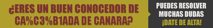 Restaurantes en Cañada de Canara