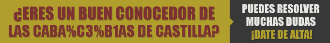 Restaurantes en Las Cabañas de Castilla