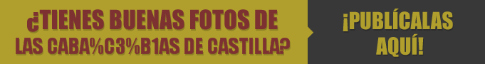 Restaurantes en Las Cabañas de Castilla