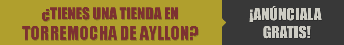 Tiendas en Torremocha de Ayllon